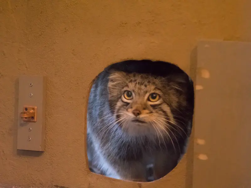 Фотография Ото в Детском зоопарке Сайтама