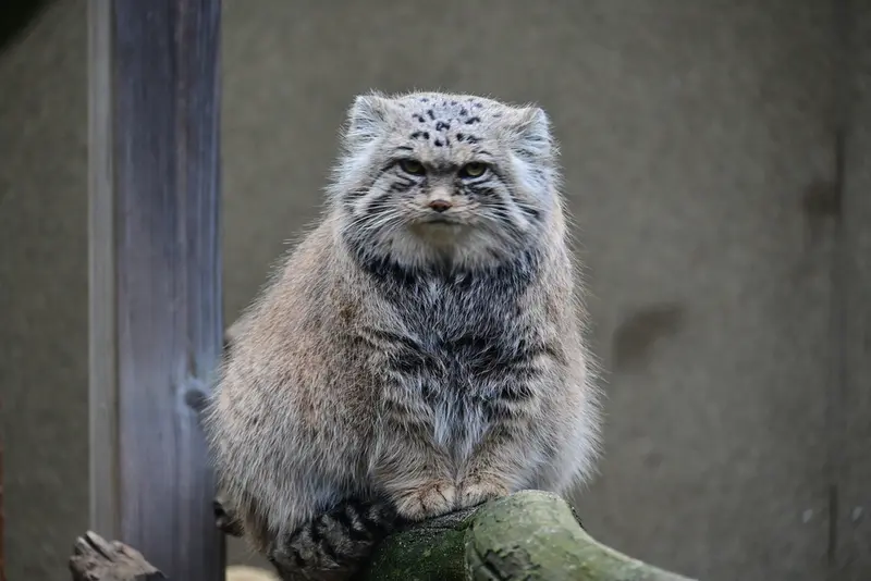 Фотография Марса в Таллинском Зоопарке