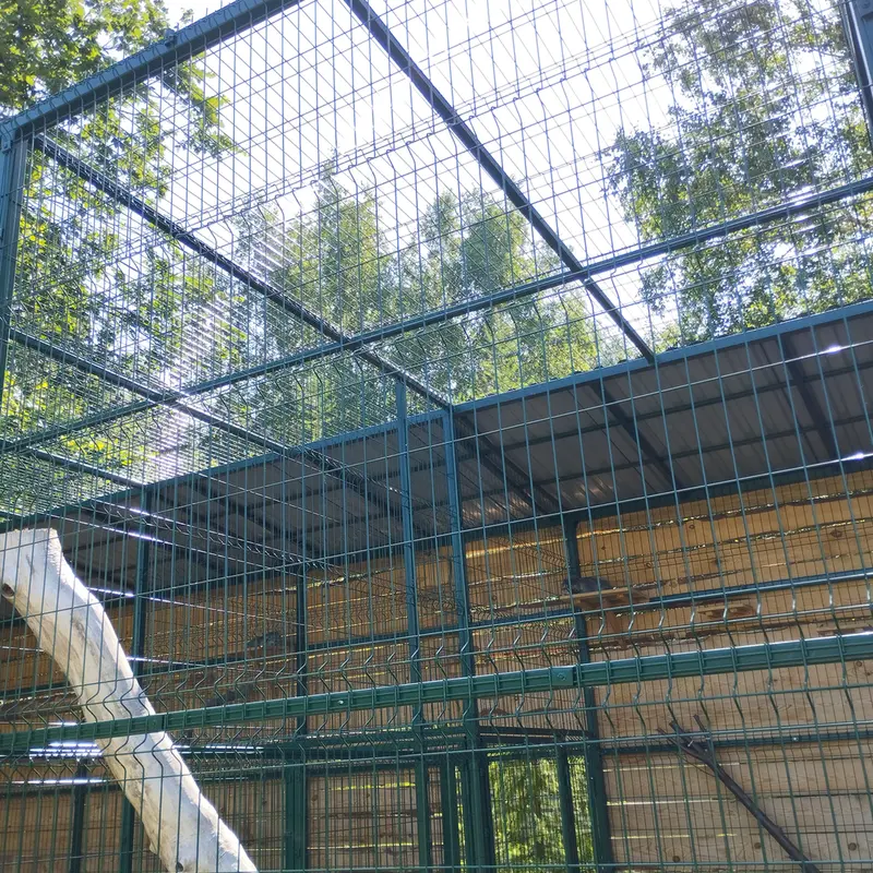 Фотография Чипа в Барнаульском Зоопарке «Лесная сказка»