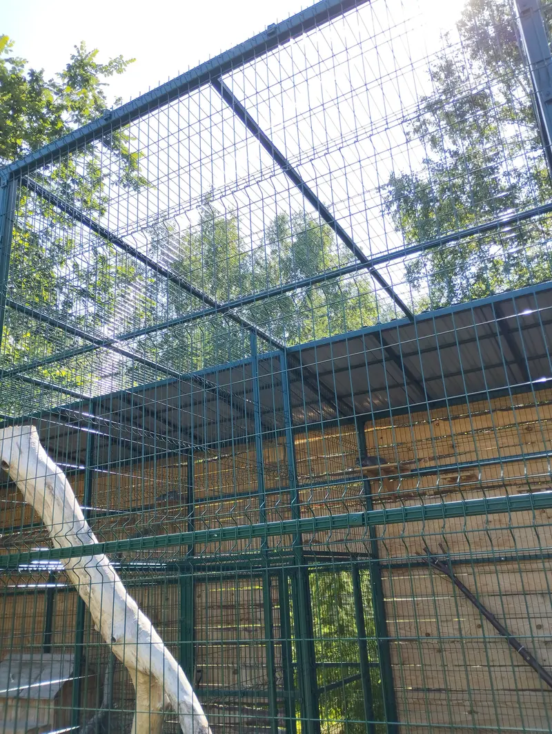 Фотография Чипа в Барнаульском Зоопарке «Лесная сказка»