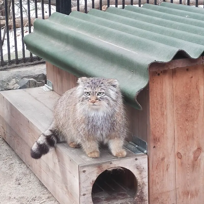Фотография Габи в Новосибирском Зоопарке