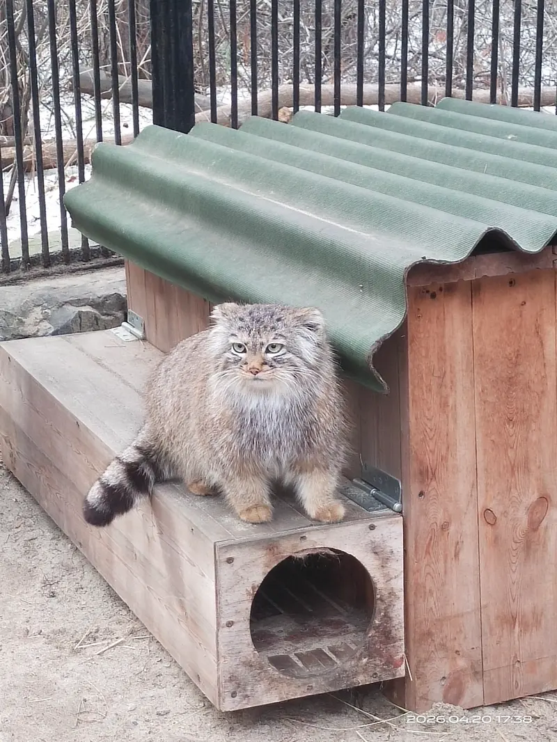 Фотография Габи в Новосибирском Зоопарке