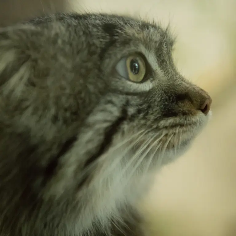 Фотография Фиги в Зоопарке Ногеяме