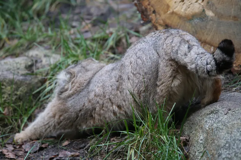 Фотография Мануэля в Гданском Зоопарке
