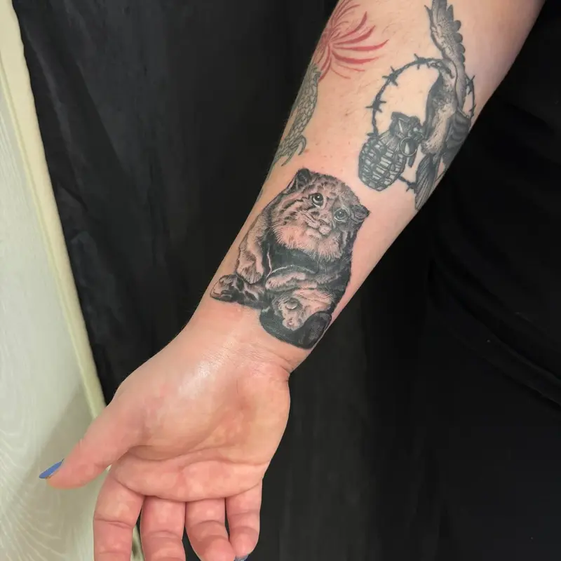 Фотография с манулом