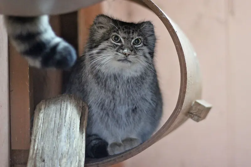 Фотография Мари в Детском зоопарке Сайтама