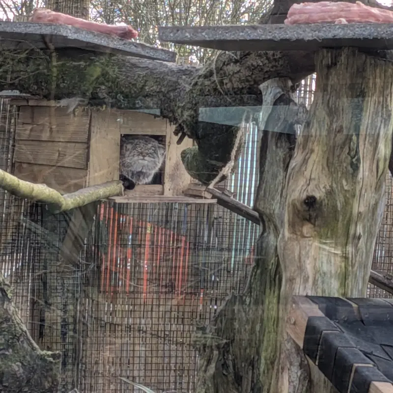 Фотография Алтая в Лэйклэнде Вайлдлайф Оазисе