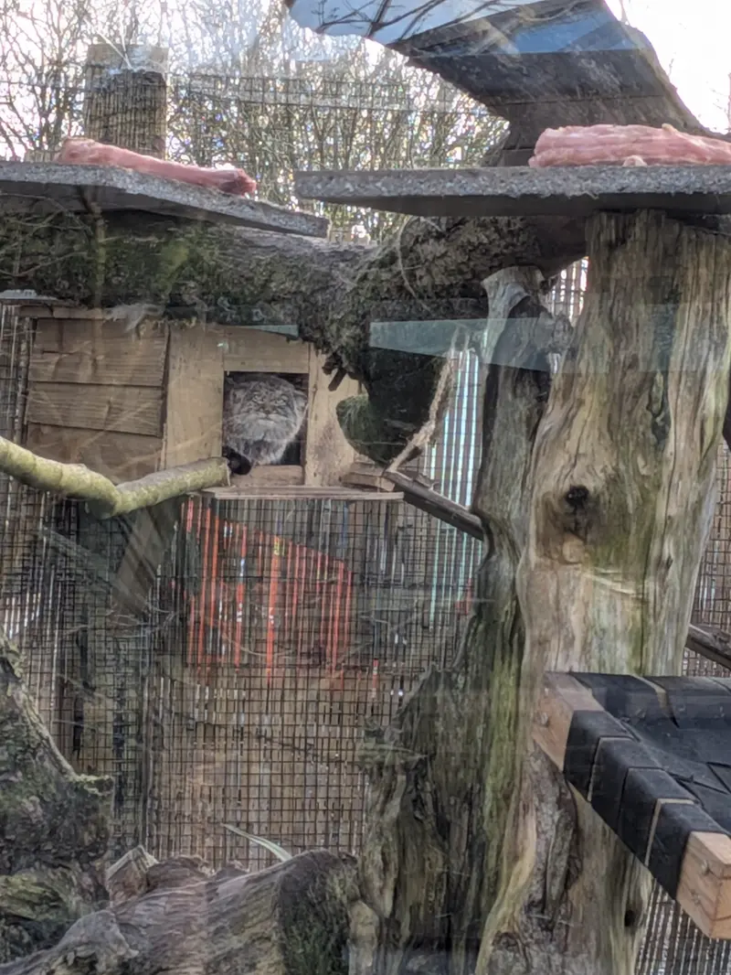 Фотография Алтая в Лэйклэнде Вайлдлайф Оазисе