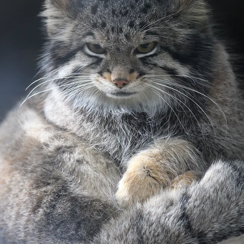 Фотография Ото в Царстве Животных Кобе