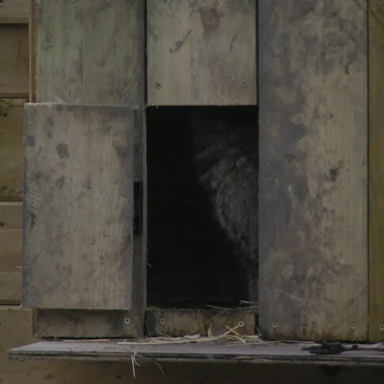 Фотография Алтая в Лэйклэнде Вайлдлайф Оазисе