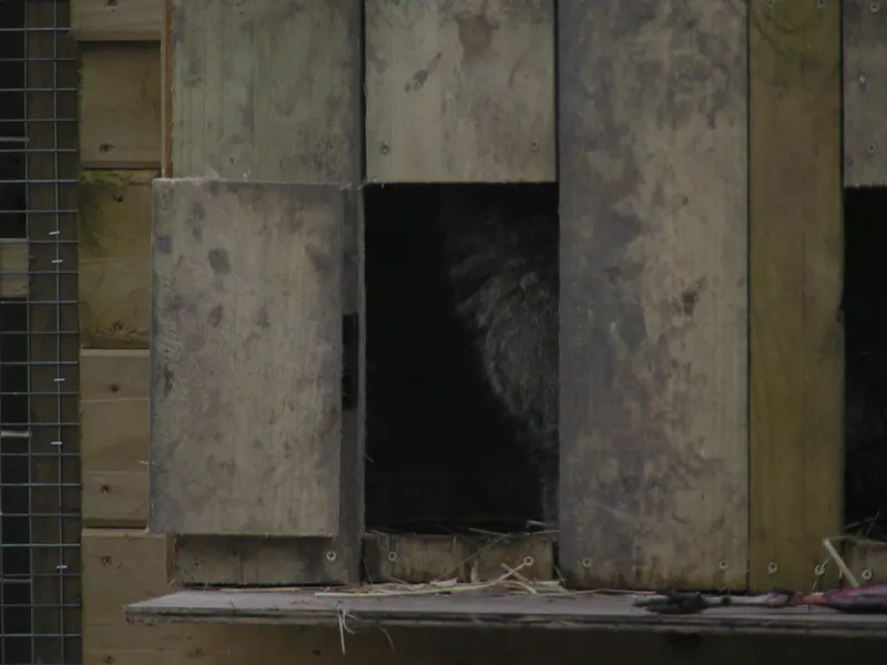 Фотография Алтая в Лэйклэнде Вайлдлайф Оазисе