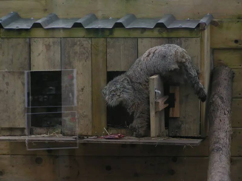 Фотография Алтая в Лэйклэнде Вайлдлайф Оазисе