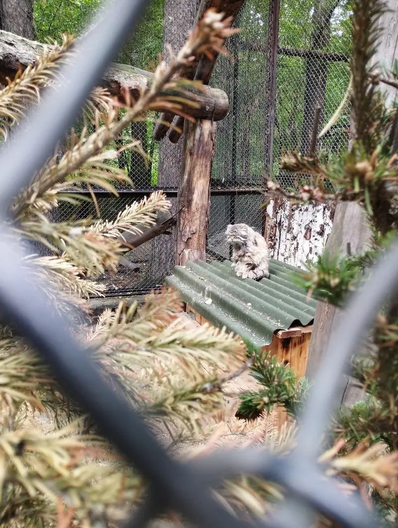 Фотография Зеленогорска в Новосибирском Зоопарке