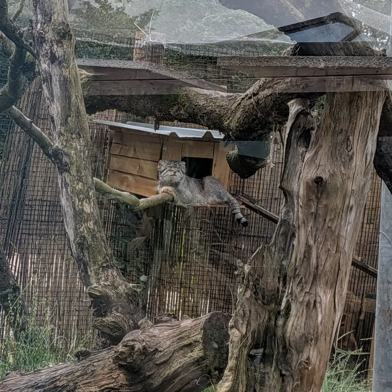 Фотография Бат-Эрдэнэ в Лэйклэнде Вайлдлайф Оазисе