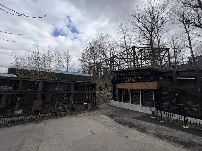 Фотография с манулом