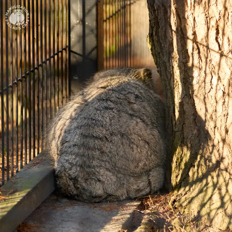 Фотография Цас в Краковском Зоопарке