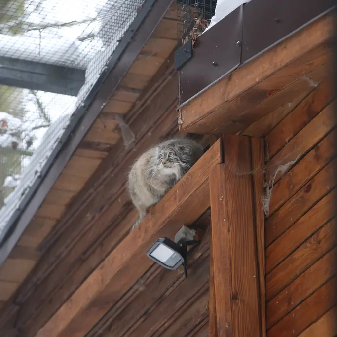 Фотография Улы в Гданском Зоопарке