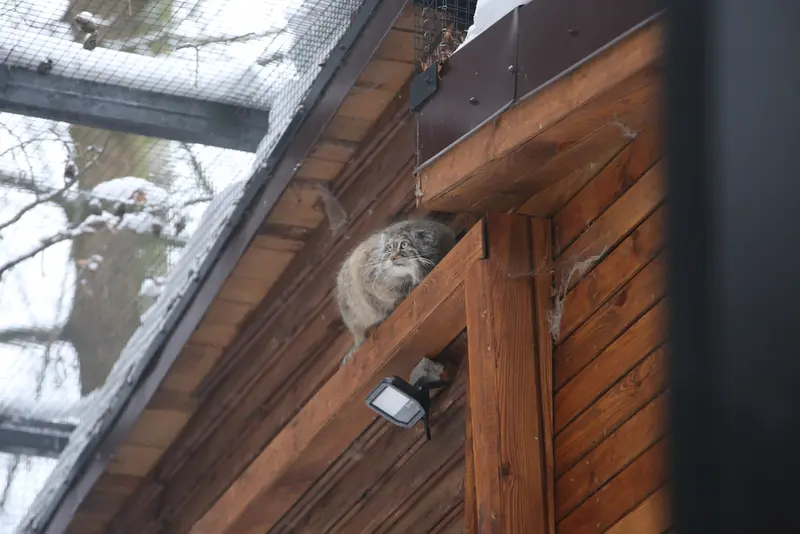 Фотография Улы в Гданском Зоопарке