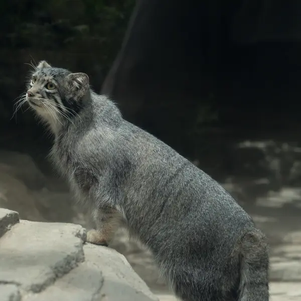 Фотография Ото в Царстве Животных Кобе