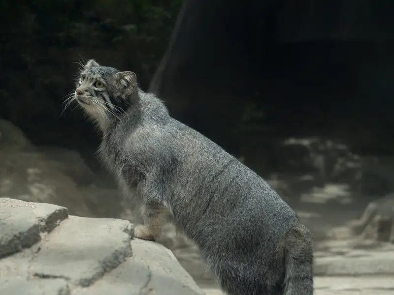 Фотография Ото в Царстве Животных Кобе