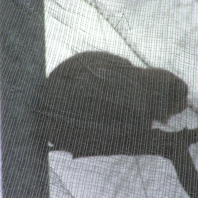 Фотография Бат-Эрдэнэ в Лэйклэнде Вайлдлайф Оазисе