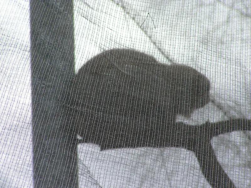 Фотография Бат-Эрдэнэ в Лэйклэнде Вайлдлайф Оазисе