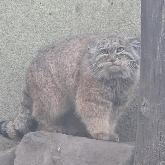 Фотография Люси в Будапештском Зоопарке