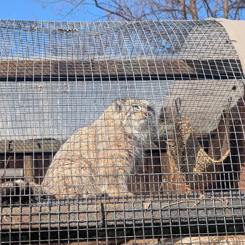 Фотография Пепе в Ленинградском Зоопарке