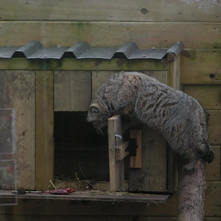 Фотография Алтая в Лэйклэнде Вайлдлайф Оазисе