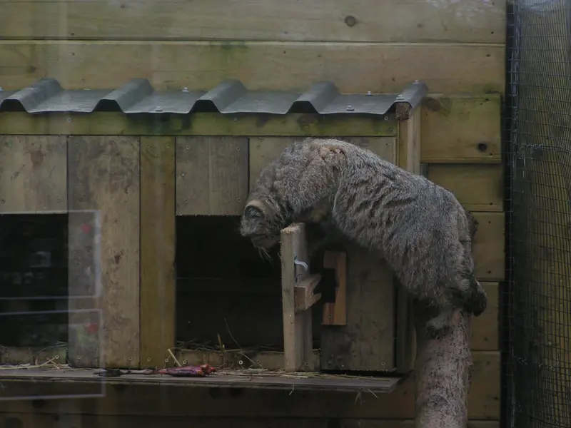 Фотография Алтая в Лэйклэнде Вайлдлайф Оазисе