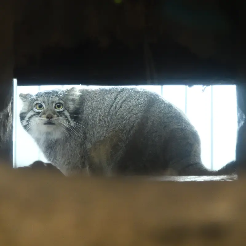 Фотография Ото в Царстве Животных Кобе