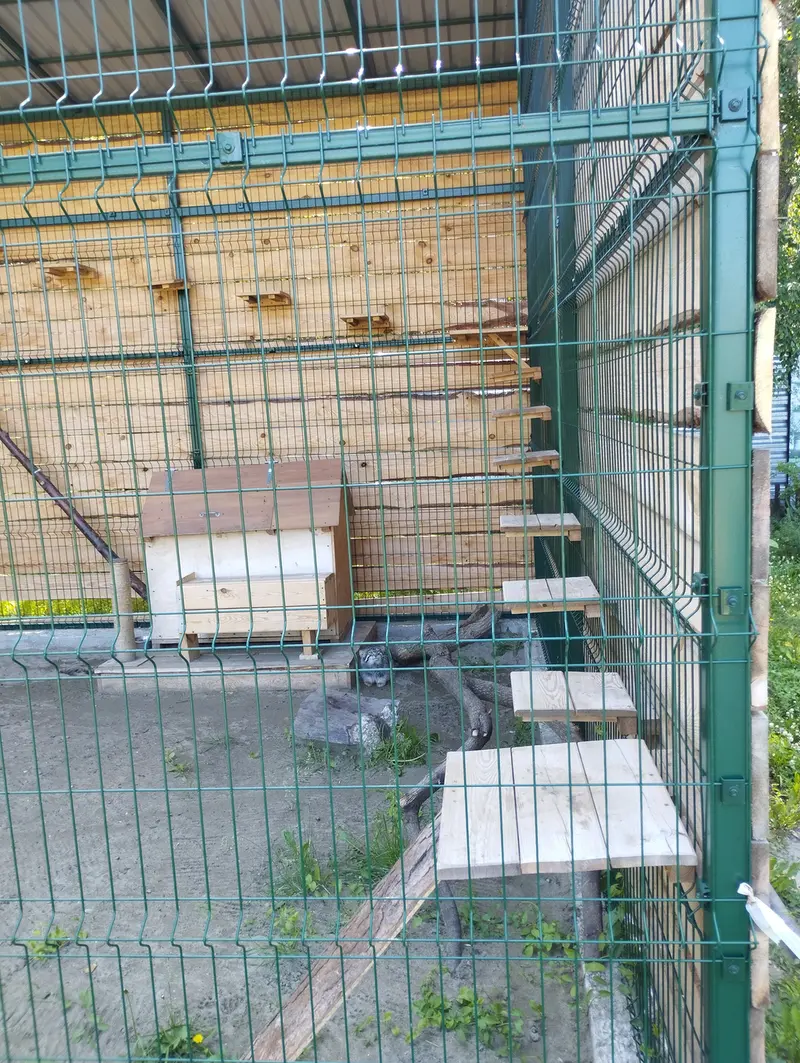 Фотография Чипа в Барнаульском Зоопарке «Лесная сказка»