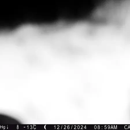 Фотография Сибирского Манула с фотоловушки Жиланды