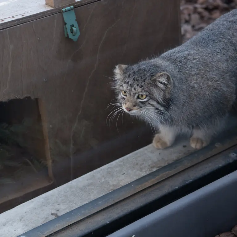 Фотография Ото в Детском зоопарке Сайтама