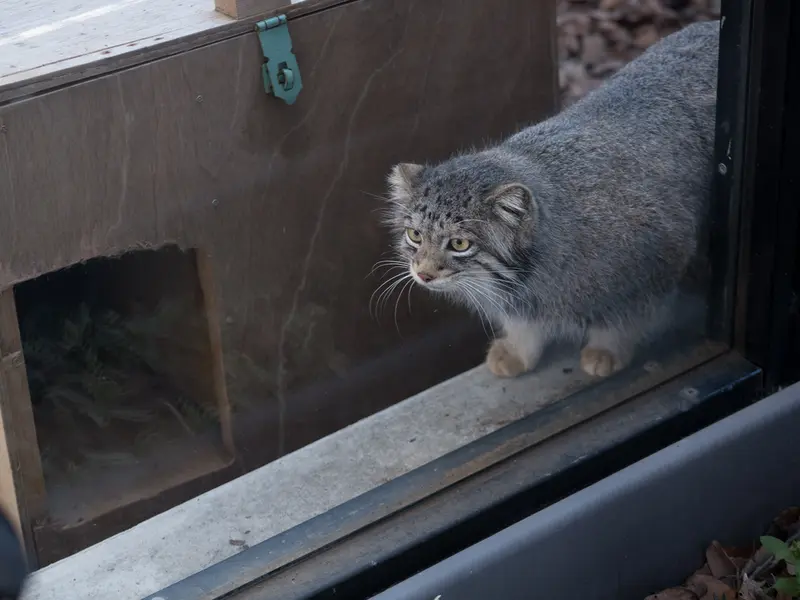 Фотография Ото в Детском зоопарке Сайтама