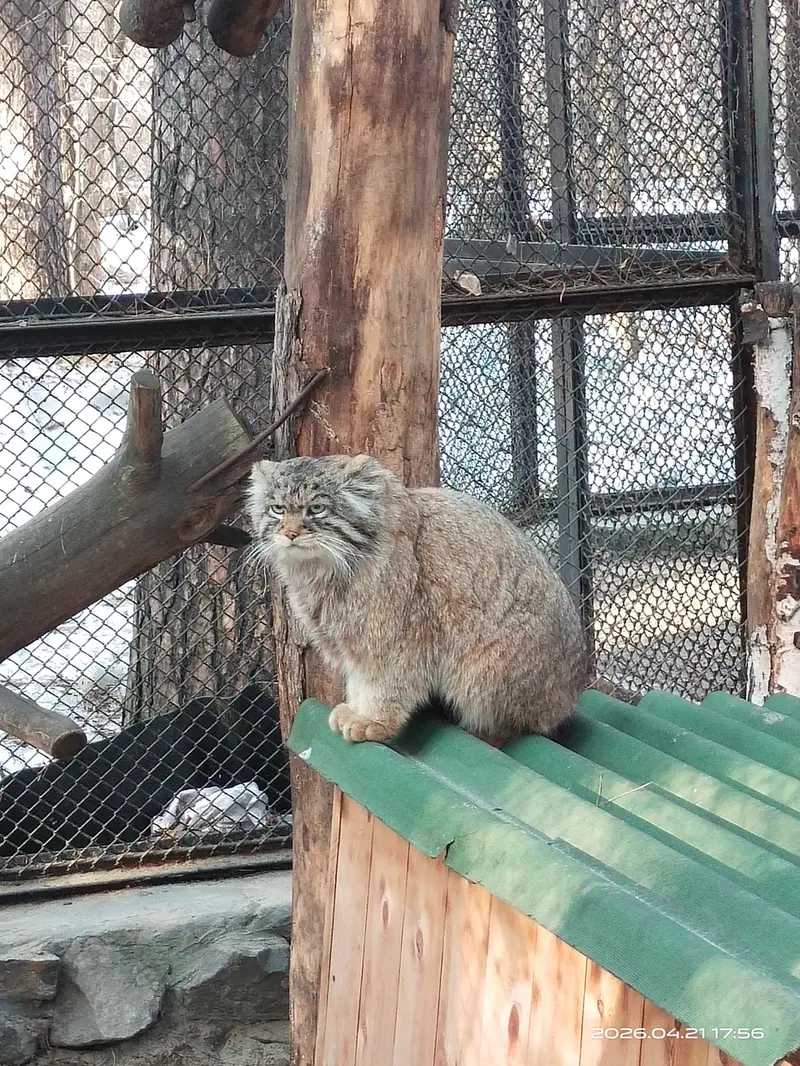 Фотография Жоры в Новосибирском Зоопарке