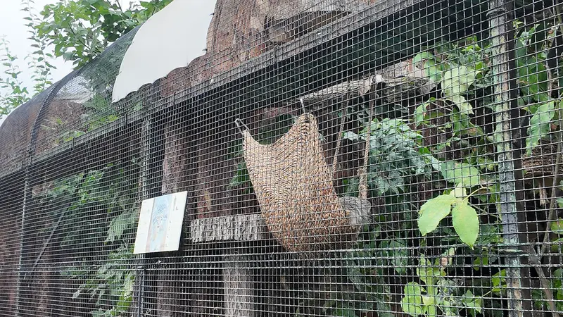 Фотография Шу в Ленинградском Зоопарке