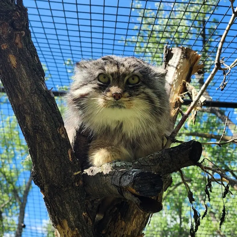 Фотография Фина в Зоопарке Дакоты