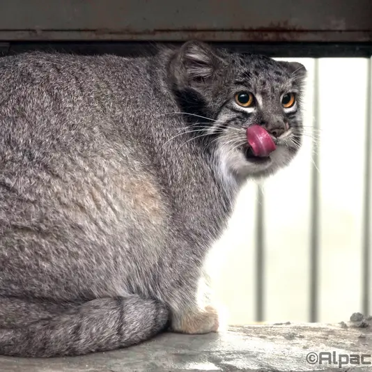 Фотография Мей в Царстве Животных Кобе