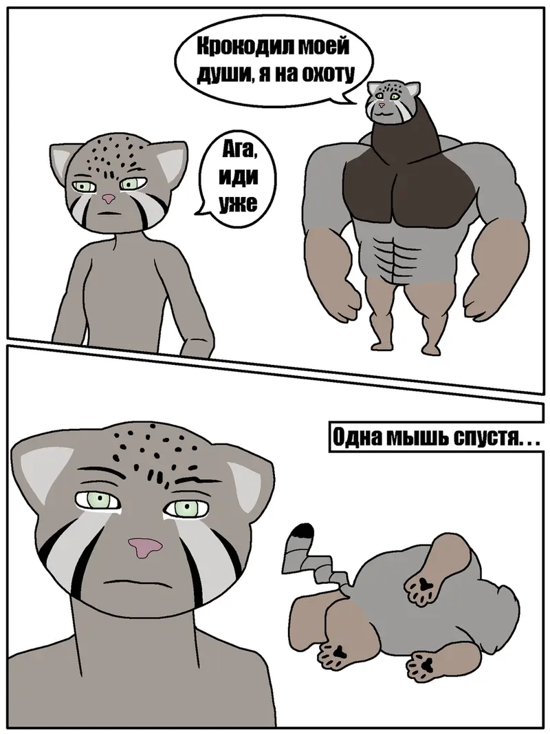 Фотография с манулом