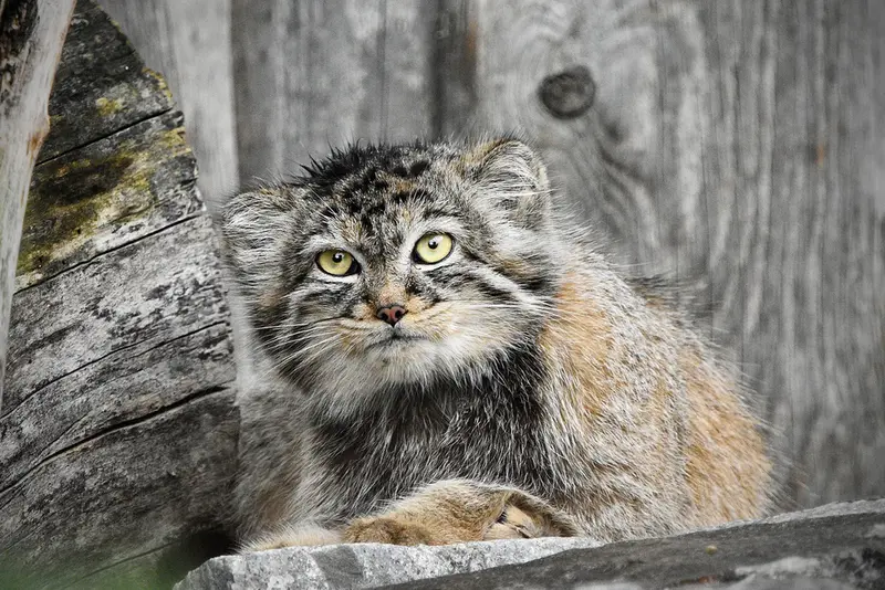 Фотография Мануэлы в Берлинском Зоопарке