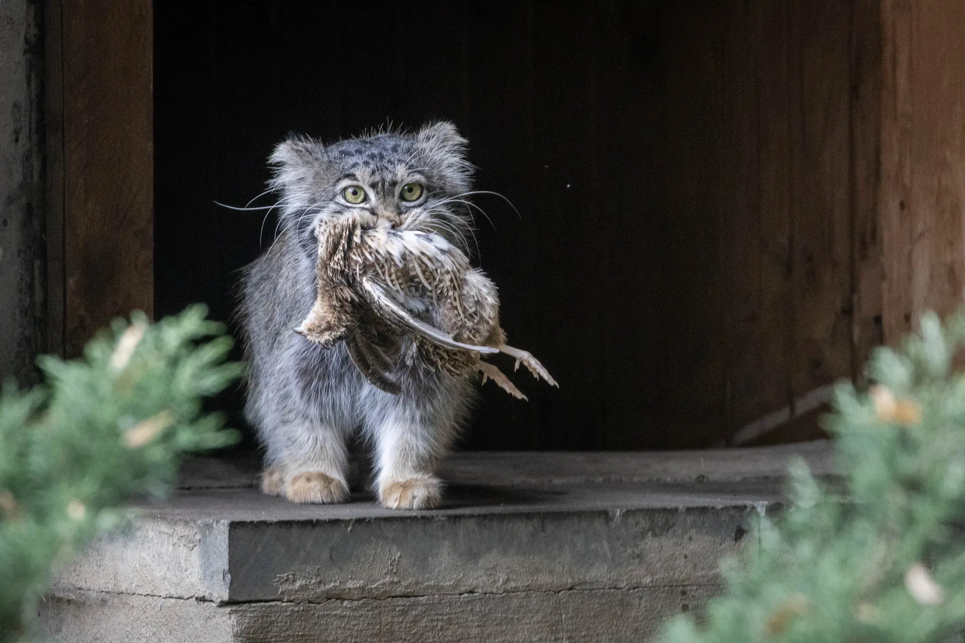 zntgkkLPJ27J50hk_mw-1920.webp
